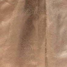 Load image into Gallery viewer, Beige Coloured Benarasi Silk Stole