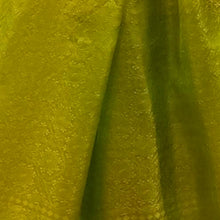 Load image into Gallery viewer, Light Green Coloured Benarasi Silk Stole