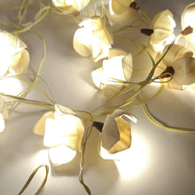 Load image into Gallery viewer, Decorative Rose Fairy Sola Lights