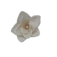 Load image into Gallery viewer, Nature’s Nurture Gift Hamper