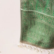 Load image into Gallery viewer, Light Green Handwoven Banarasi Silk Stole