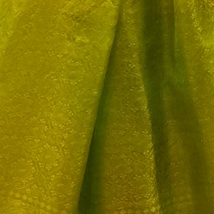 Light Green Coloured Benarasi Silk Stole