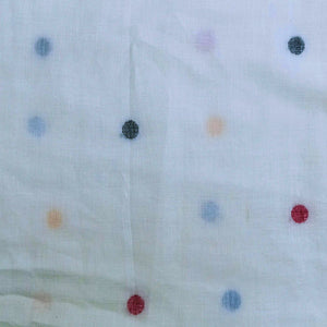 Off White With Multicolour Jamdani Buti Fabric